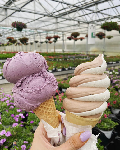 Samascott's Garden Market Ice Cream