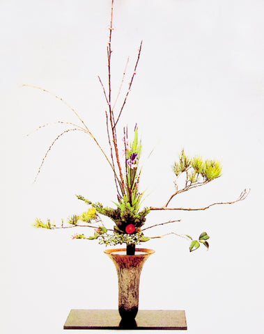 Illustration d'une composition florale Ikebana de style Rikka, grand vase en céramique avec des branches de cyprès et de cerisier et une fleur rose.