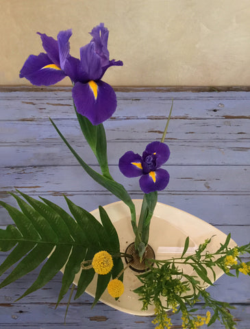 Moribana style Ikebana with violet gladioli and yellow chrysanthemums with green leaves on kenzan dipped in water in the suiban