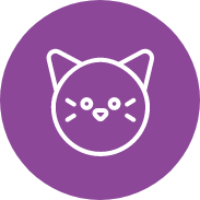 Purple Cat Icon