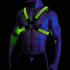 green-led-gay-harness