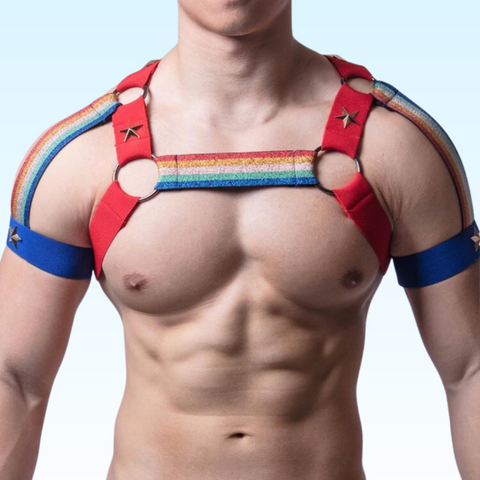 vibrant-rainbow-star-studded-fashion-harness