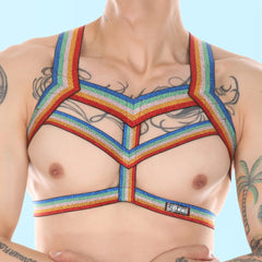 rainbow-gay-harness-outfit