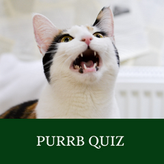 Purrb Quiz