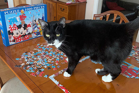 Tuxedo cat Dorian stands on a table covered in puzzle pieces.