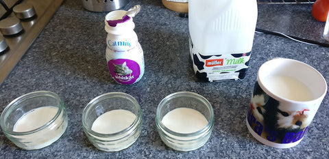 Breakfast at Laura's consists of ramekins of Whiskas cat milk for the kittens and a mug of cow's milk for herself!