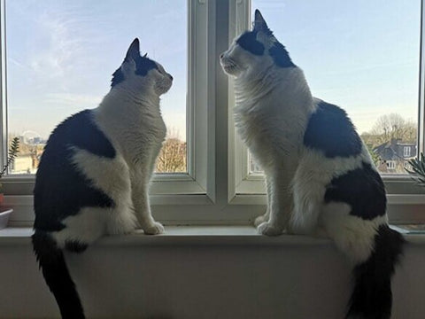 Peter and Wendy, brother and sister, gaze at each other while sitting on a windowsill.