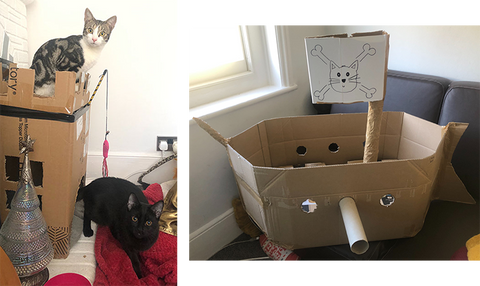 Home-made cardboard castle and cardboard pirate ship for cats!