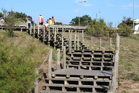 Pontes e Passadiços em Madeira