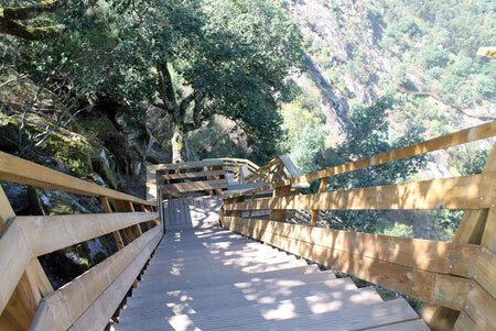 Pontes e Passadiços em Madeira