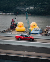 Double Ducks Hong Kong 2023