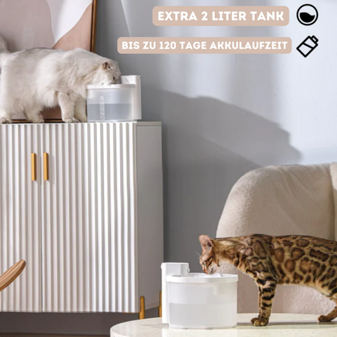 Acheter Fontaine à eau automatique pour chat de compagnie, pompe  silencieuse, adaptateur d'alimentation