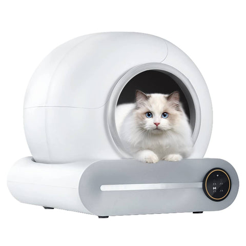 smart litter box catzyfied mit katze in der toilette (selbstreinigede Katzentoilette
