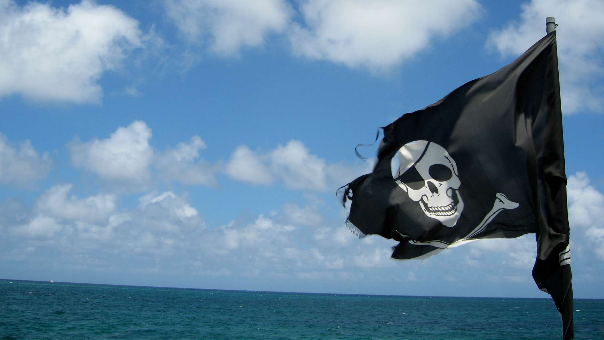 Pirate flag - Sea of ​​Treasures
