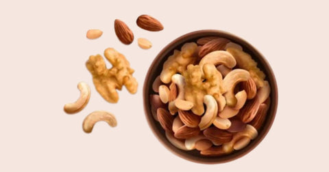 Nut & Seeds - High protein food