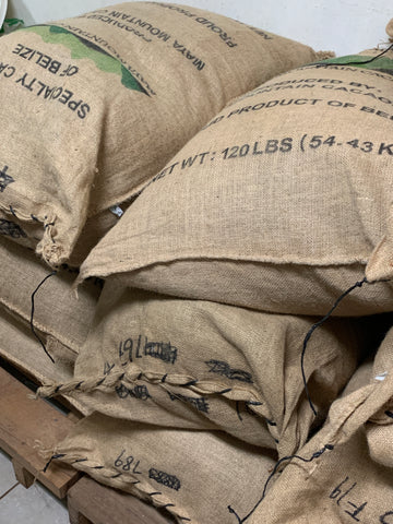 stack of cacao beans in hessian sacks