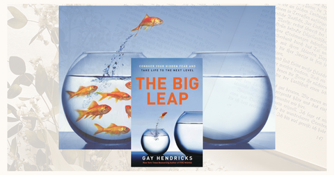 A picture of the cover of The Big Leap, by Gay Hendricks. A goldfish is jumping from a smaller glass bowl to a bigger glass bowl.