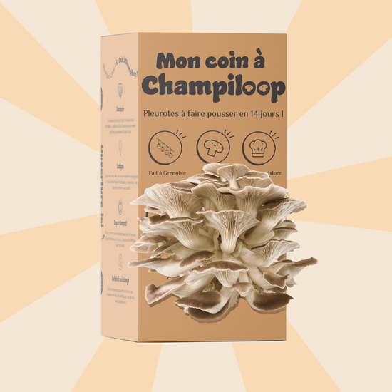 Boutique - Champiloop votre producteur de champignons bio