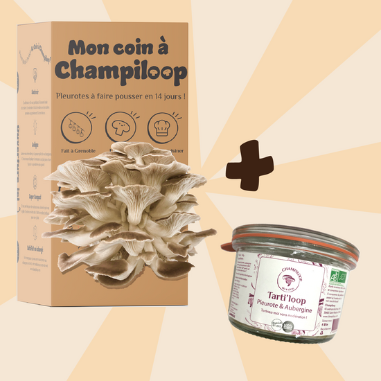 Boutique - Champiloop votre producteur de champignons bio