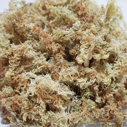 Begeterday 12.5oz Natural Sphagnum Moss for Reptiles,Ideal Humidity Retaining Medium for Snakes,Turtles and Other Reptiles,Good for Terrariums for