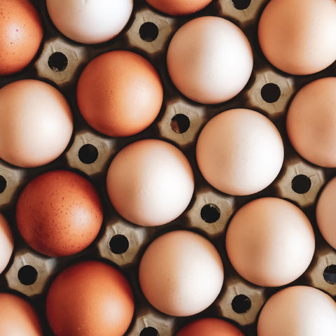 Foods That Support Immunity - Eggs