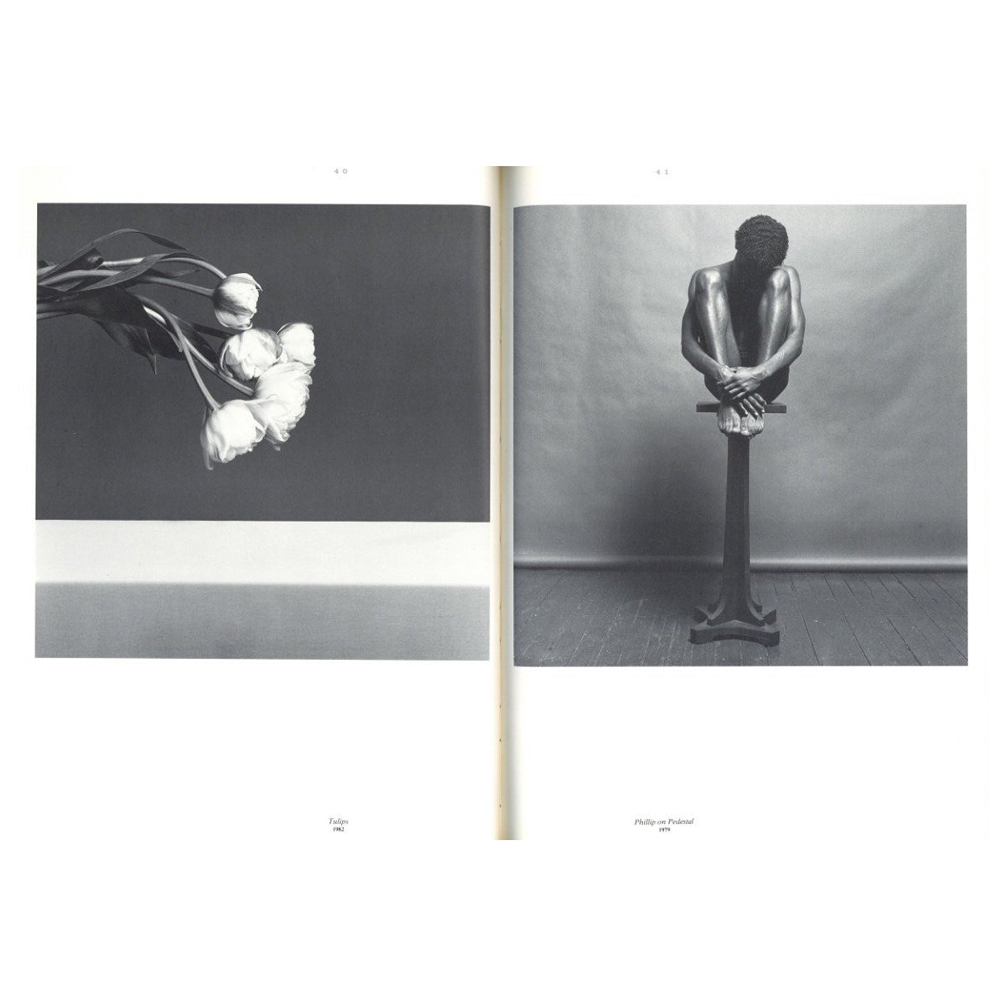 ROBERT MAPPLETHORPE 1970-1983 / Robert Mapplethorpe | 198201111959 