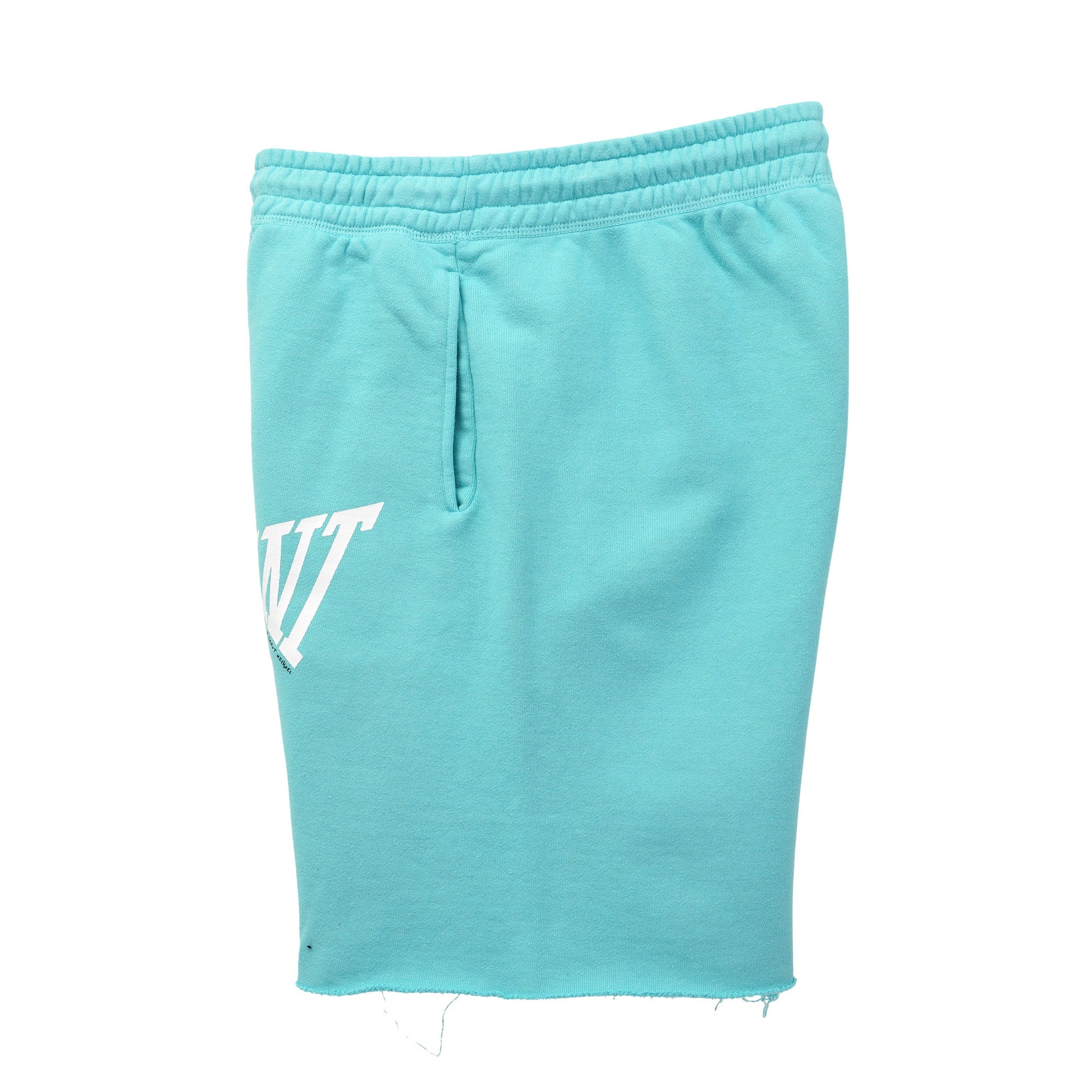 SAINT Mxxxxxx SHORTS SAINT BLUE Mサイズ | www.ofa.sg