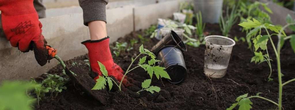 Gardening with garden hat