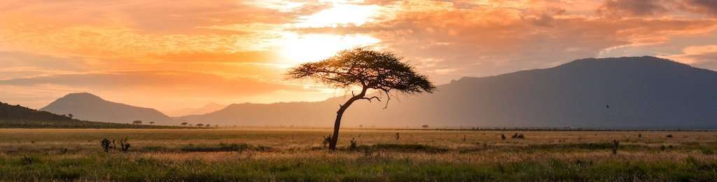 Kenyan Sunset Demands Neck Protection