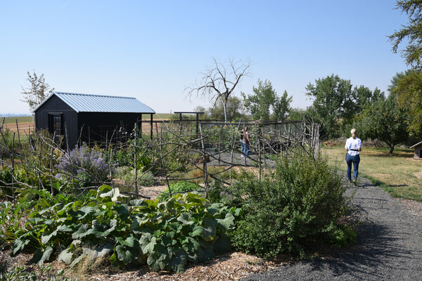 The herb garden at Hunter Moon Homestead