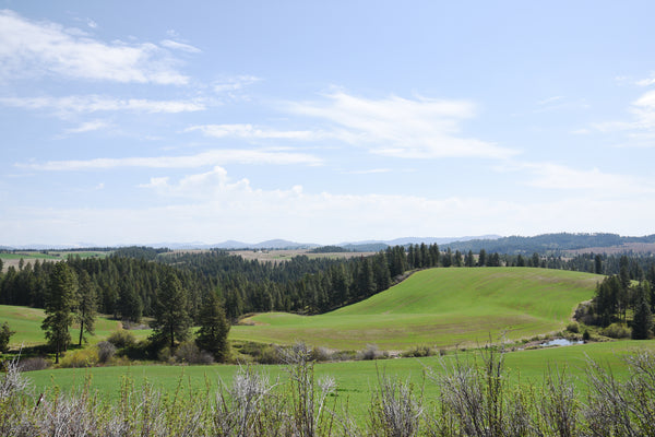 Rolling hills of the Palouse near Hunter Moon Homestead