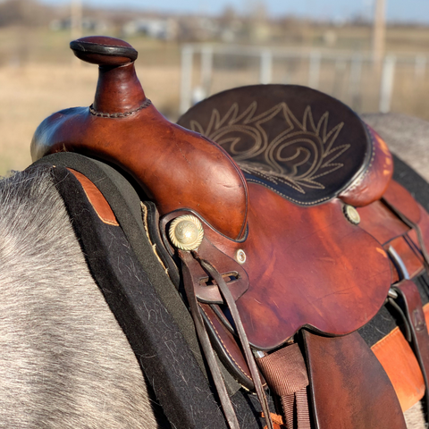 trail riding saddle