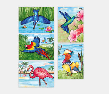 The Relish aquapaint Magnificent birds designs set of 5, reusable, and mess-free water activating painting.