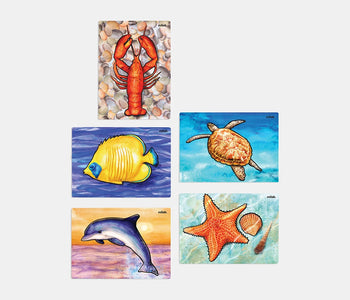 The Relish aquapaint Ocean life set of 5, including a dolphin, a fish, a turtle, a starfish and a lobster.