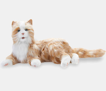 The orange Joy for All companion cat: a realistic, interactive, and calming pet for people living with dementia.