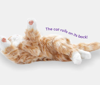 The orange Joy for All companion cat rolled on its back and showing its tummy for a rub.