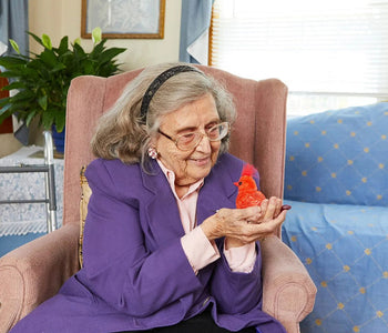 An older lady holding and interacting with the red cardinal walker squawker bird companion.