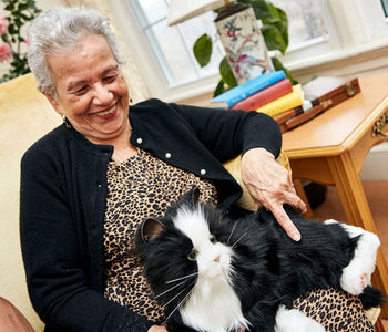 Older woman, smiling as she pets the tuxedo Joy for All interactive companion cat.