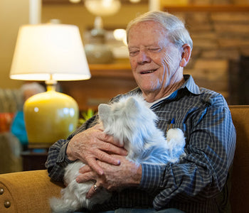 Elderly man sitting in a living room smiling and holding the silver Joy for All companion cat.