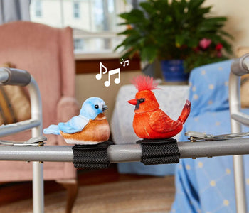 The two singing walker squawker birds, strapped to a walker to make movement more enjoyable.