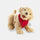 Joy for All Lifelike Golden Pup companion to help with the well-being of people living with dementia.