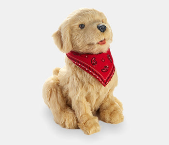 Golden Pup companion pet for people living with dementia.