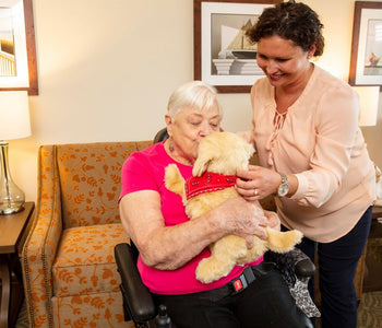 An older woman with her caregiver discovering and interacting with the golden pup by Ageless Innovation's.