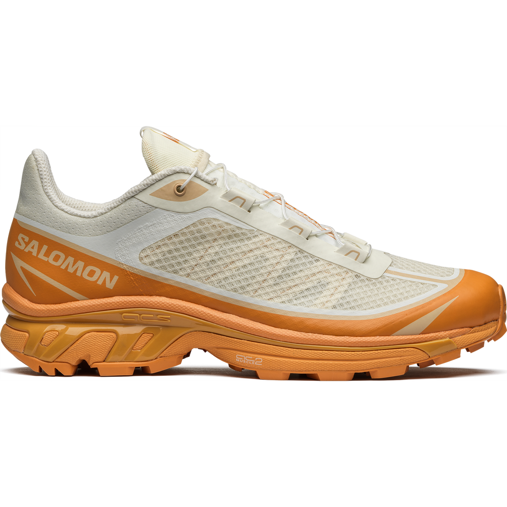 SALOMON XT-6  Advanced   24cm