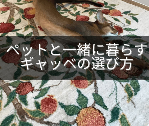 ワンちゃん猫ちゃん用ペットとギャベのある暮らし、犬猫が喜ぶ天然ウールのギャベ