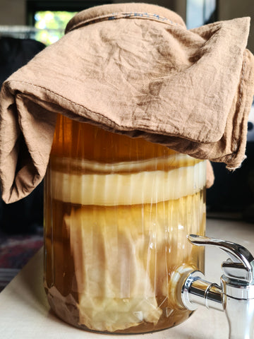 Een grote glazen pot met een kraantje. Hier zit kombucha in met een flinke SCOBY. Over de pot zit een doek.