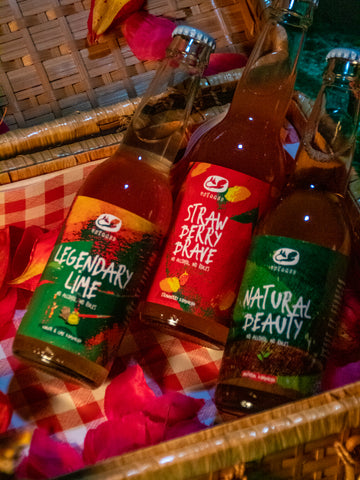 Three bottles of Untamed Kombucha in a picnic basket. This photo is for a blog: "where does kombucha come from?"