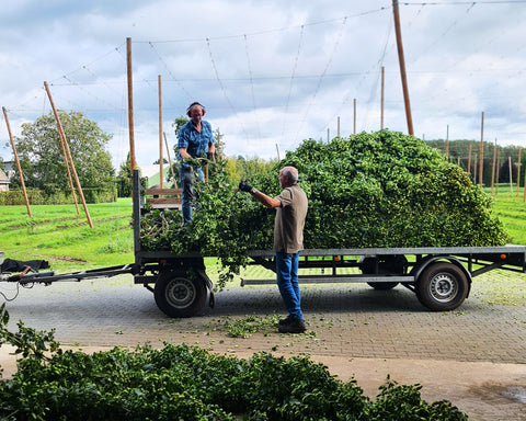 hops are unloaded from a trailer, with the land in the background
