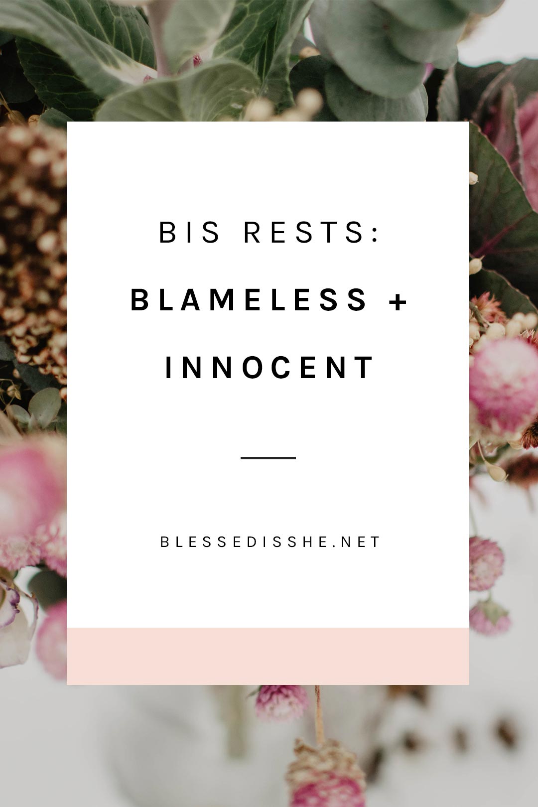 bis rests blameless innocent