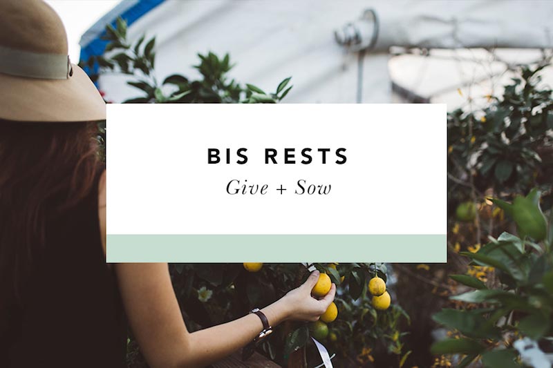bis rests give + sow